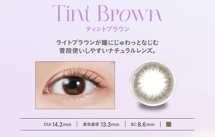 ティントブラウン Tint Brown