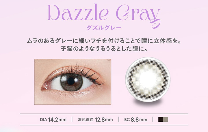 Dazzle Gray ダズルグレー