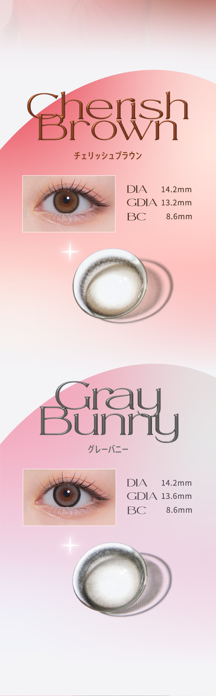 チェリッシュブラウン Cherish Brown グレーバニー Gray Bunny