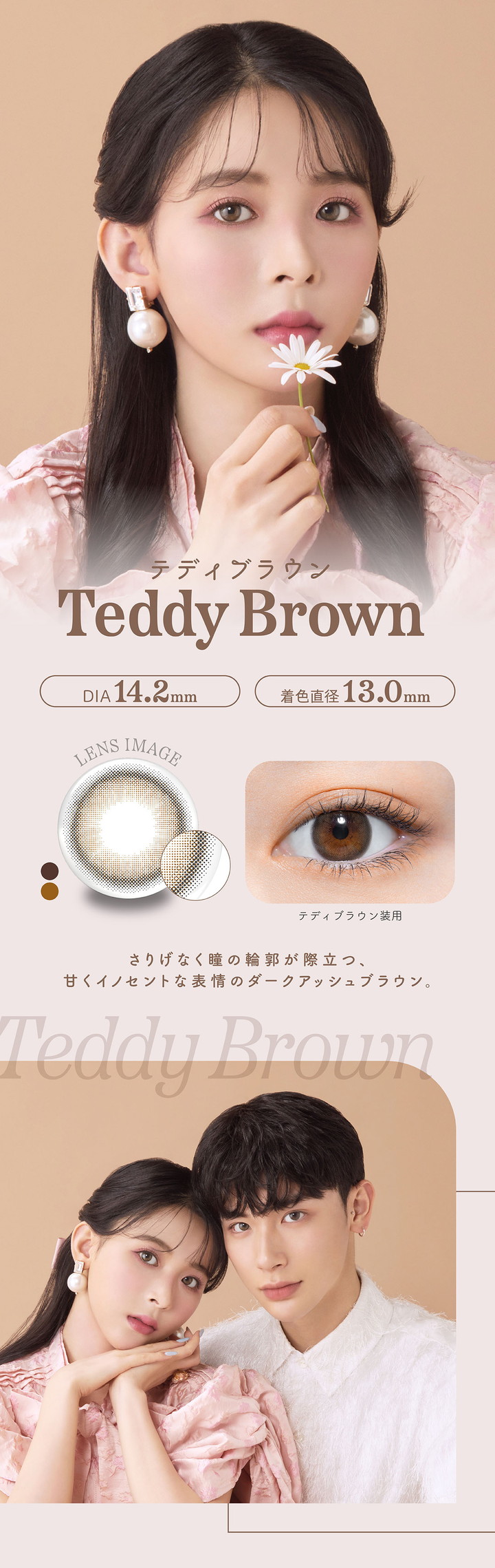 テディブラウン パース perse