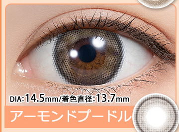 アーモンドプードル Almond Poodle