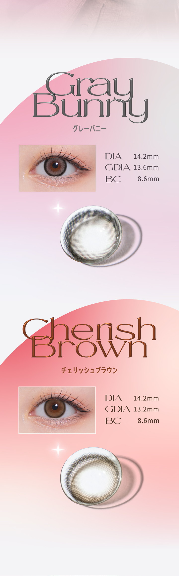 グレーバニー Gray Bunny チェリッシュブラウン Cherish Brown