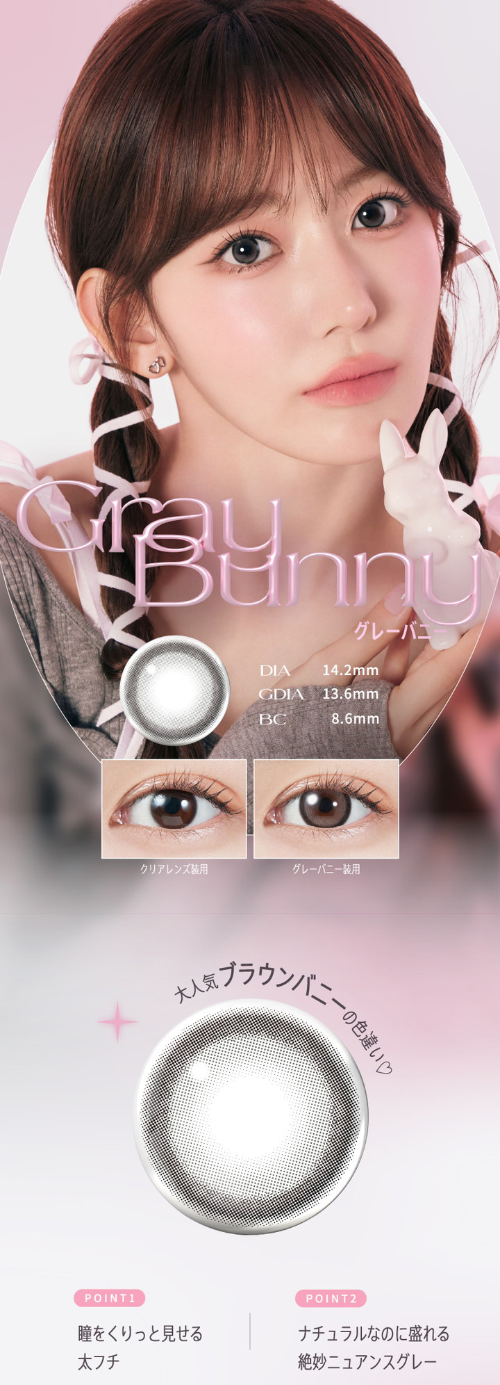 グレーバニー Gray Bunny