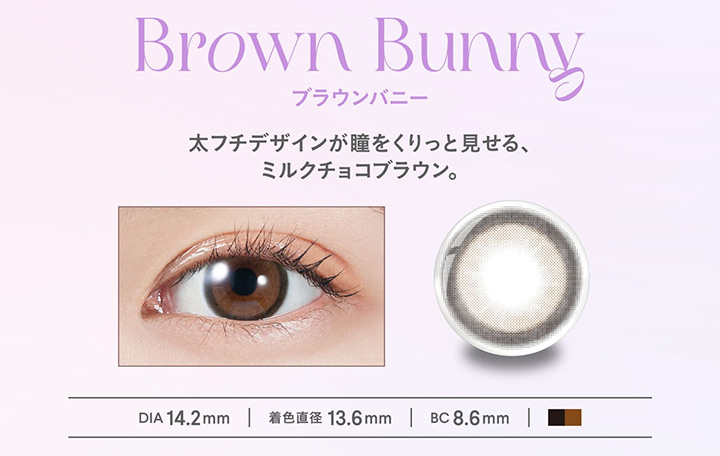 Brown Bunny ブラウンバニー