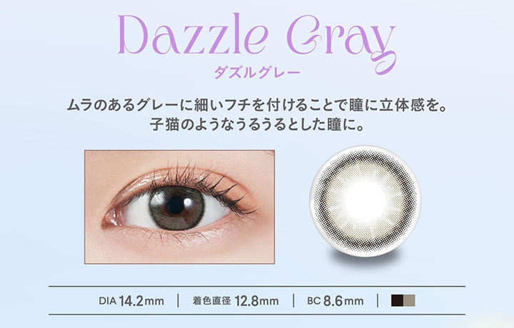 Dazzle Gray ダズルグレー