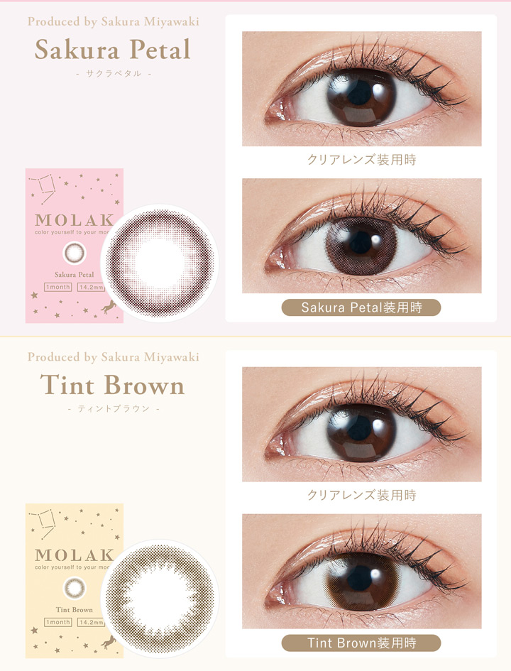 サクラペタル Sakura Petal 、ティントブラウン Tint Brown