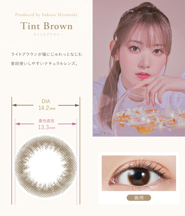 ティントブラウン Tint Brown