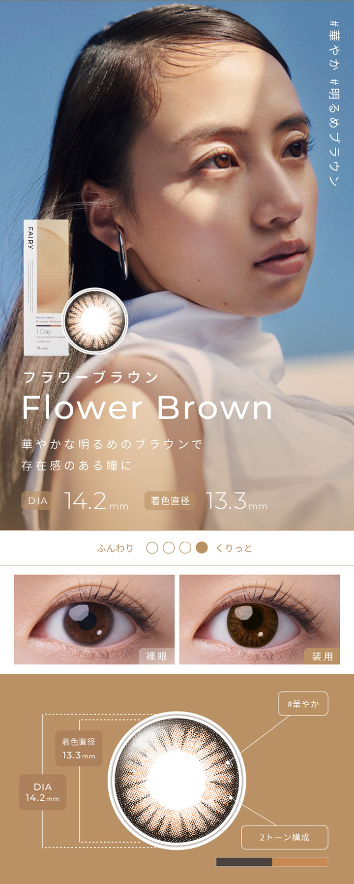 フラワーブラウン Flower Brown