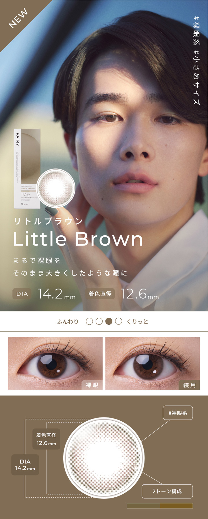 Little Brown　リトルブラウン