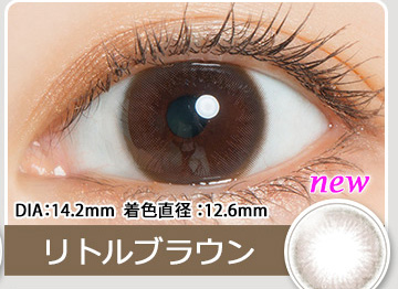 Little Brown　リトルブラウン
