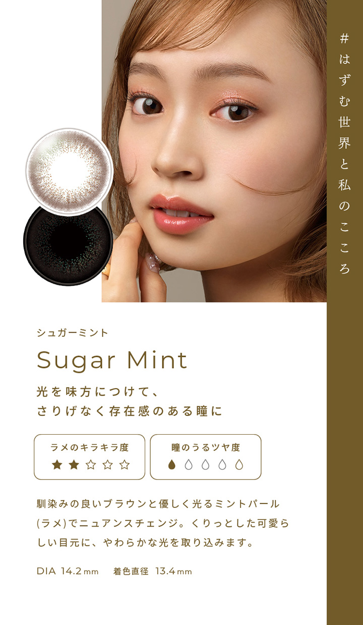 シュガーミント Sugar mint