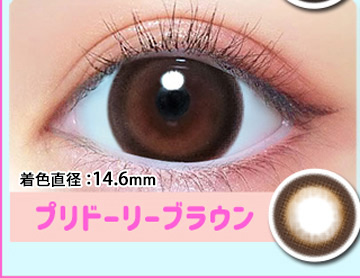 プリドーリーブラウン