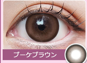 Bouquet Brown ブーケブラウン