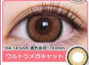 ウルトラメガキャット