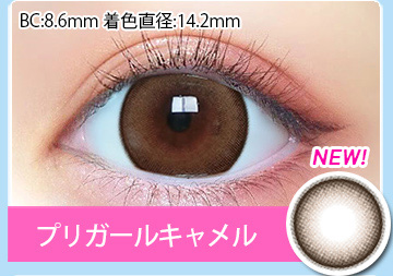 プリガールキャメル