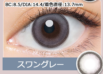 Swan Gray スワングレー