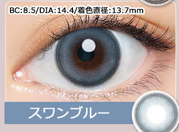 Swan Blue スワンブルー