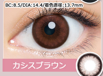 Cassis Brown カシスブラウン