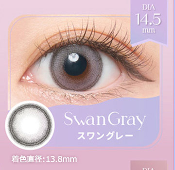 スワングレー Swan Gray