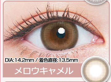 メロウキャメル