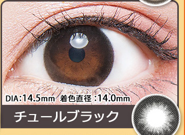 チュールブラック わんぱくコアラ